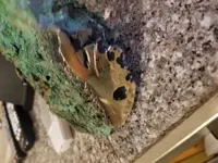 20180313_101724.webp