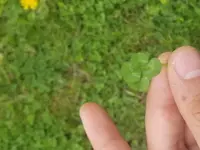 20180514_113108.webp