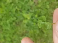 20180514_113130.webp