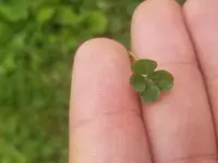 20180514_113220.webp