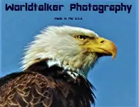worldtalker.webp
