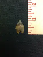 image.webp