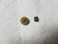 20180330_215948.webp
