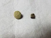 20180330_215924.webp