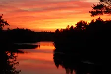 P1020414.webp