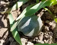 20180508_123939.webp