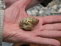 Nugget 2oz OnHand.webp