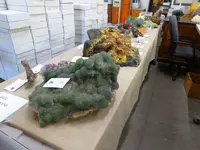 trip 042718 6.webp