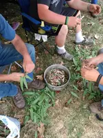 IMG_20180504_151310918.webp