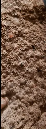20180412_194837.webp