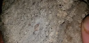 20180412_185159.webp