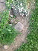 image.webp