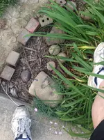 image.webp