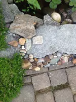 image.webp