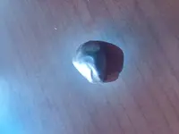 20180130_111605_HDR.webp
