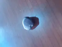 20180130_111620_HDR.webp