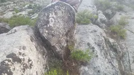 20180305_174417.webp