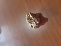 20180130_111428_HDR.webp