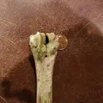 20180324_185126.webp