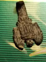 20180324_193029.webp