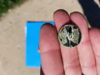 Button 2.webp