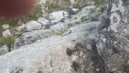 20180305_174337_001.webp