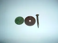 srp 001.webp