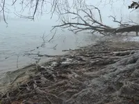 walk 042118 2.webp