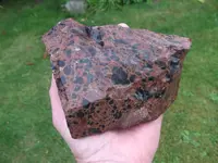 DSCF7418.webp