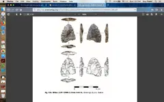 Biface.webp