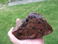 DSCF7427.webp
