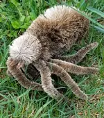 20180506_162219.webp