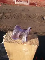 purple1.webp