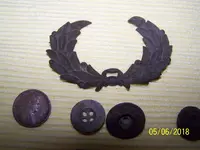 102_8487[1].webp