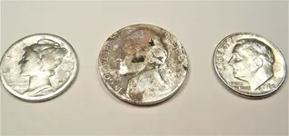 Silver Coins Obverse.webp