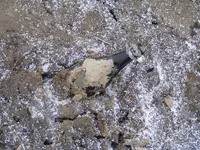 DSCF2935.webp