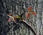 K1600_137.webp