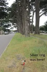 median strip near ocean 5-18 003.webp