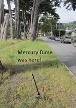 median strip near ocean 5-18 005.webp