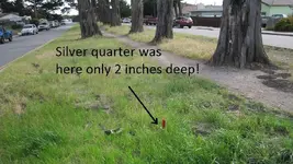 median strip near ocean 5-18 007.webp