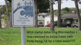 median strip near ocean 5-18 008.webp