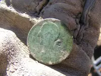 DSCF2993.webp