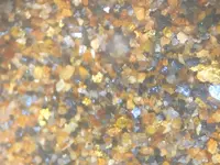 gold and galena 2.webp