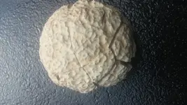 20180412_180522.webp