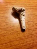 20180506_182453.webp