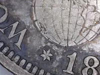 1893Columhalfin.webp