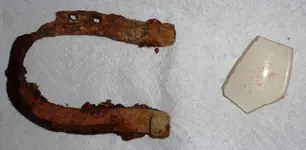 horsehost and pottery shard found at VWmill.webp