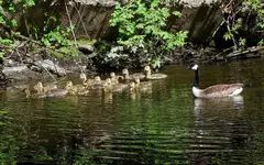 K1600_070.webp