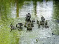 K1600_081.webp