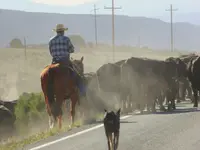 drive 051418 6.webp